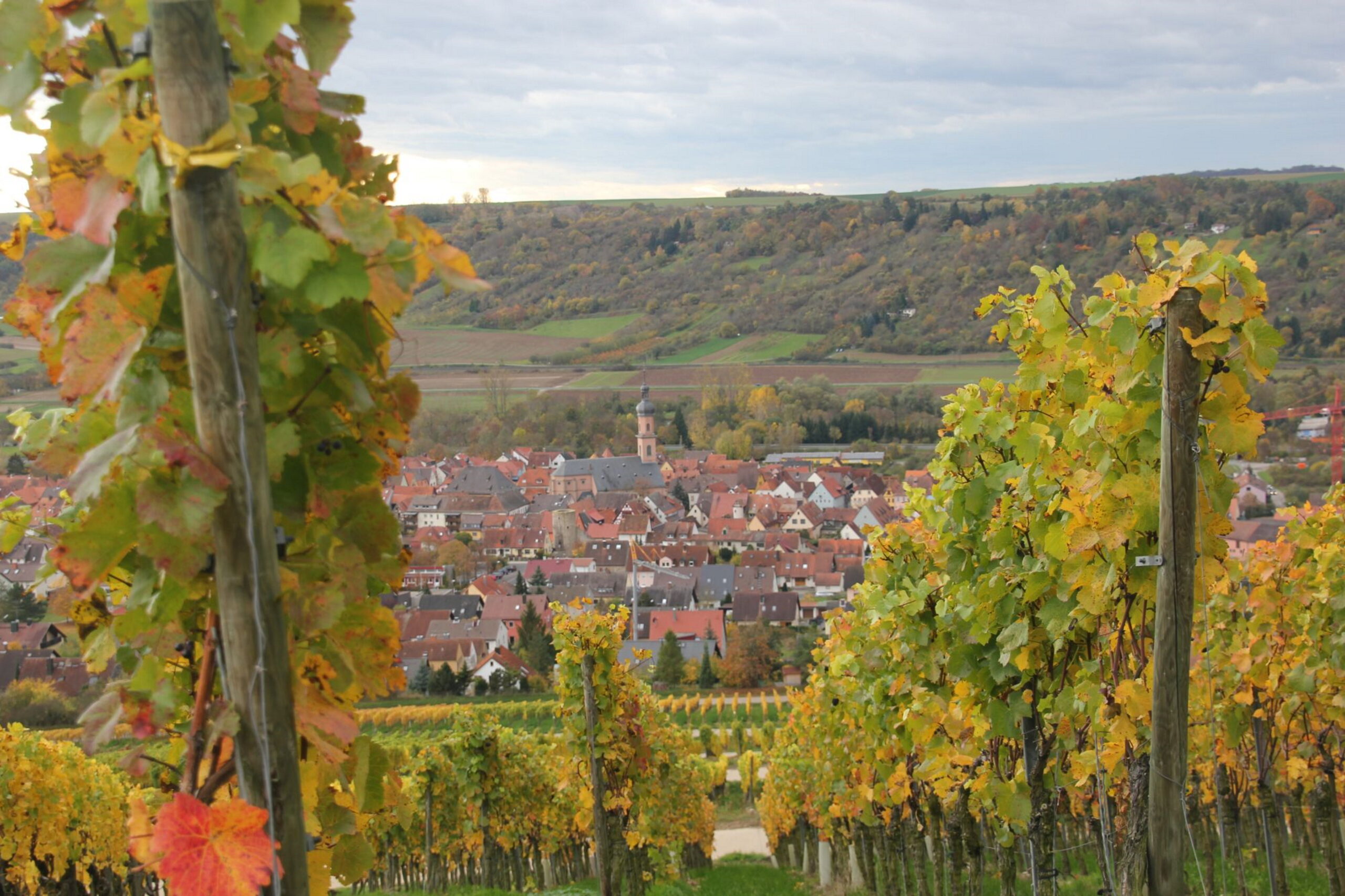 9. Januar, ab 15:00 Uhr, Neujahrs-Talk